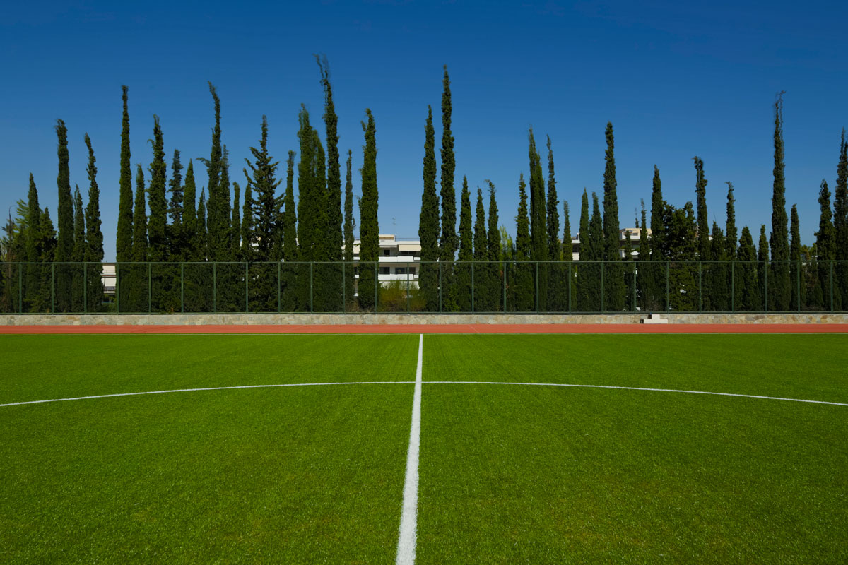Track-and-Field-06.jpg